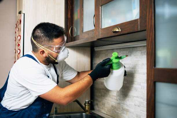 Pest Control for Restaurants in Lake St Croix Beach, MN
