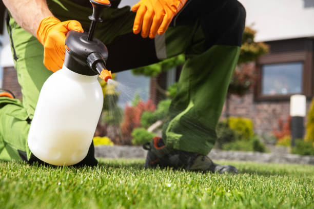 Best Rat Extermination Near Me  in Lake St Croix Beach, MN