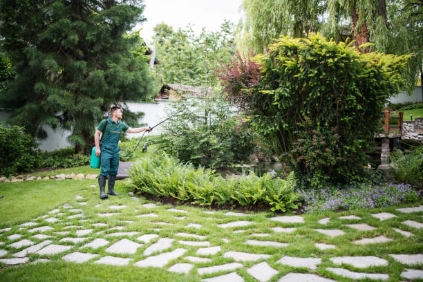 Best Affordable Pest Control Services  in Lake St Croix Beach, MN