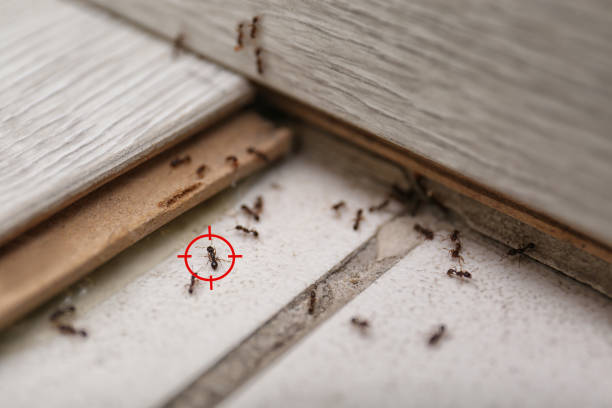 Pest Control Cost in Lake St Croix Beach, MN